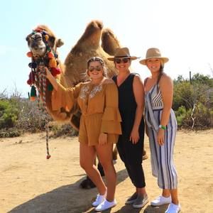 Meet your Posher, Holly